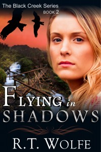 Cover_Flying In Shadows