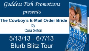 BBT The Cowboys EMail Order Bride  Banner