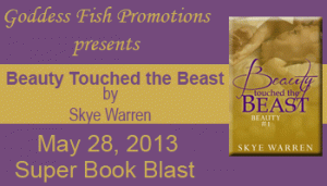 SBB-Beauty-Series-Banner