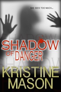 6_5 Cover_ShadowOfDanger