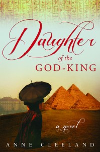 11_20 ann cleeland book cover