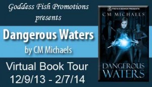 1_29 FSVBT_DangerousWaters_Banner