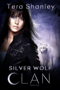 MEDIA KIT SWC Cover