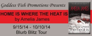 BBT Home is Where the Heat Is Tour Banner copy