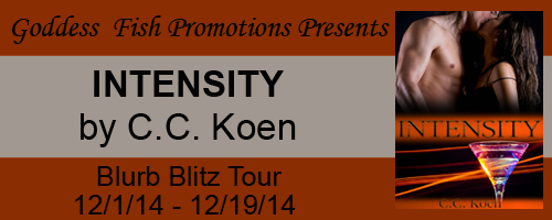 12_2 intensity VBT_TourBanner_Intensity copy