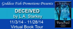 FS Deceived Tour Banner copy