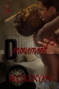 MediaKit_BookCover_Denouement