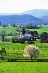 Image of spring in the Shenandoah Valley of Virginia by my mom, Pat Churchman
