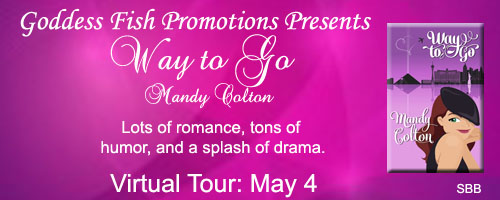 SBB_TourBanner_WayToGo copy