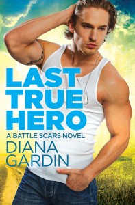 11_10 Gardin_Last True Hero_E-Book