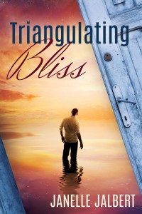 MediaKit_BookCover_TriangulatingBliss