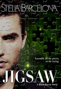 MediaKit_BookCover_Jigsaw