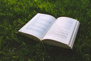 Open book lying on green grass.